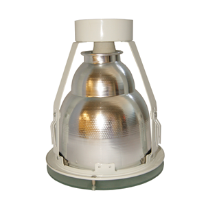 Recessed induction light